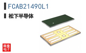 FCAB21490L1